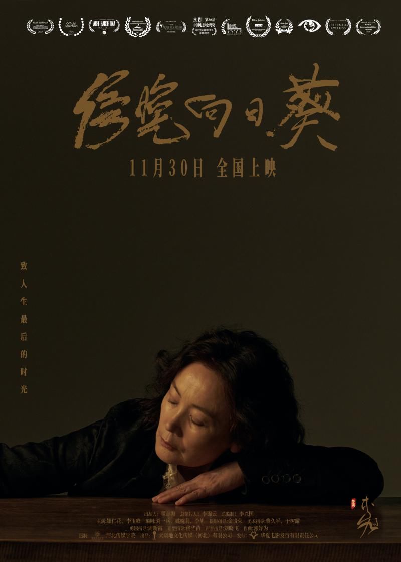 电影《傍晚向日葵》定档11月30日，娜仁花“用灵魂演绎”人生最后时光