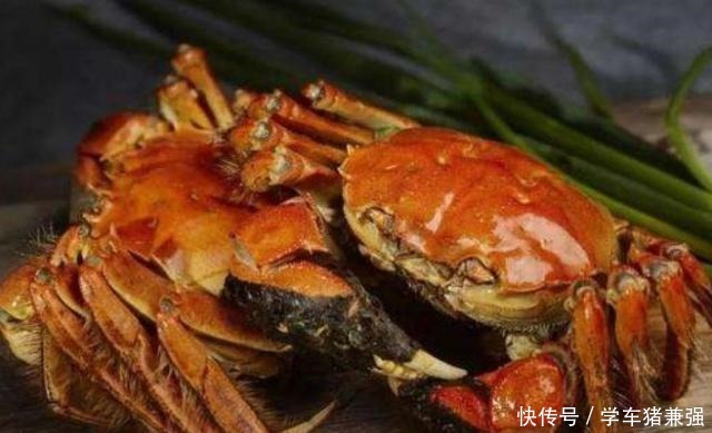 中华锦绣龙|中国最珍贵的5种食材,第二种受国家保护,第五种一般人买不起
