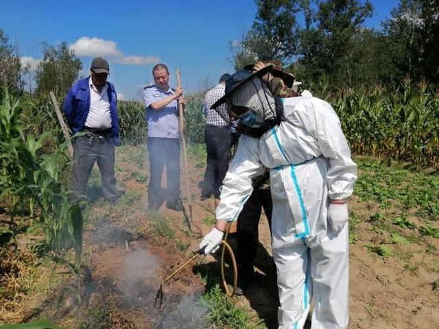  延边|延边一女子被大黄蜂蜇伤，经医院抢救无效身亡