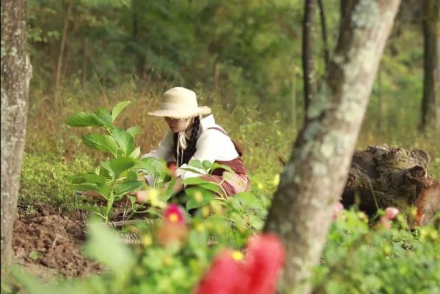  李子|她用3年时间爆改老宅，把荒地变花海：原来除了李子柒，我们还有另一种田园牧歌