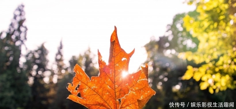 处女座|8月下旬开始，桃花运，就要来到身边，即将收获真爱的4大星座