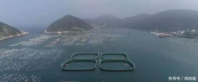  换来|他为让它多活一天，赌上一切付出八年，换来3000万