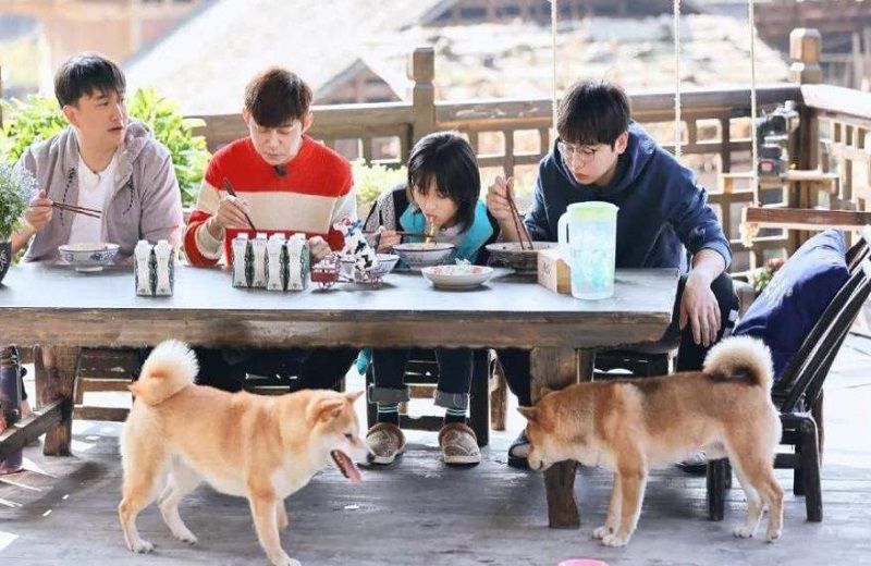 向往|《向往的生活》收视率大跌,招黑路上什么时候可以重返江湖