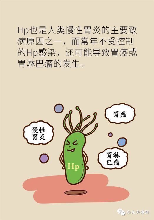  专家|幽门螺杆菌到底该不该杀，听听协和专家怎么说！