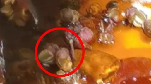 顾客|在网红火锅店吃出2次活虫，顾客索赔11700元！老板报警了