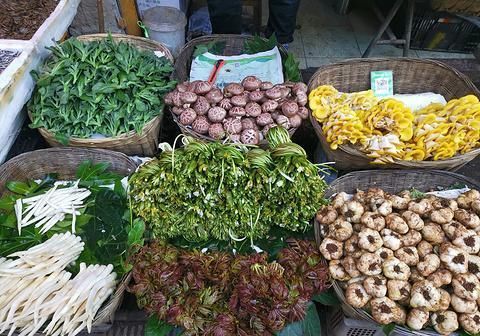  熊猫|中国顶级旅游路线有高铁了！看完熊猫再环洱海，一辆车就能解决