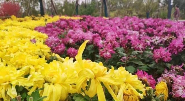  在乎|心中想着你，因为在乎，所以难忘