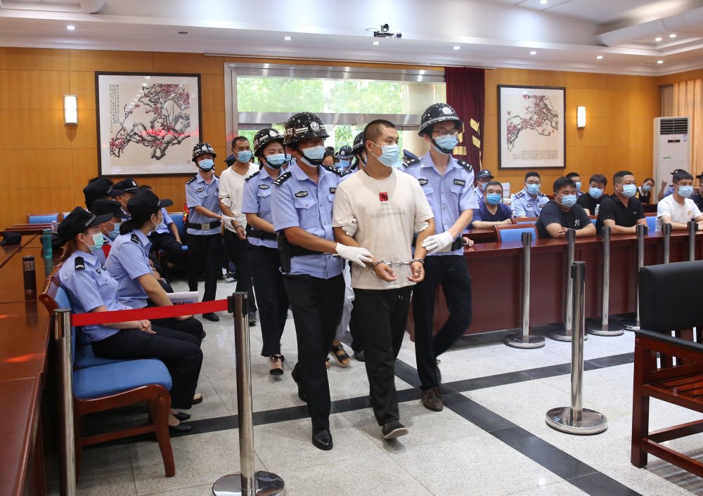 蚂蚁|山东首例“套路搬”案件一审宣判“蚂蚁搬家”专门来法院送锦旗