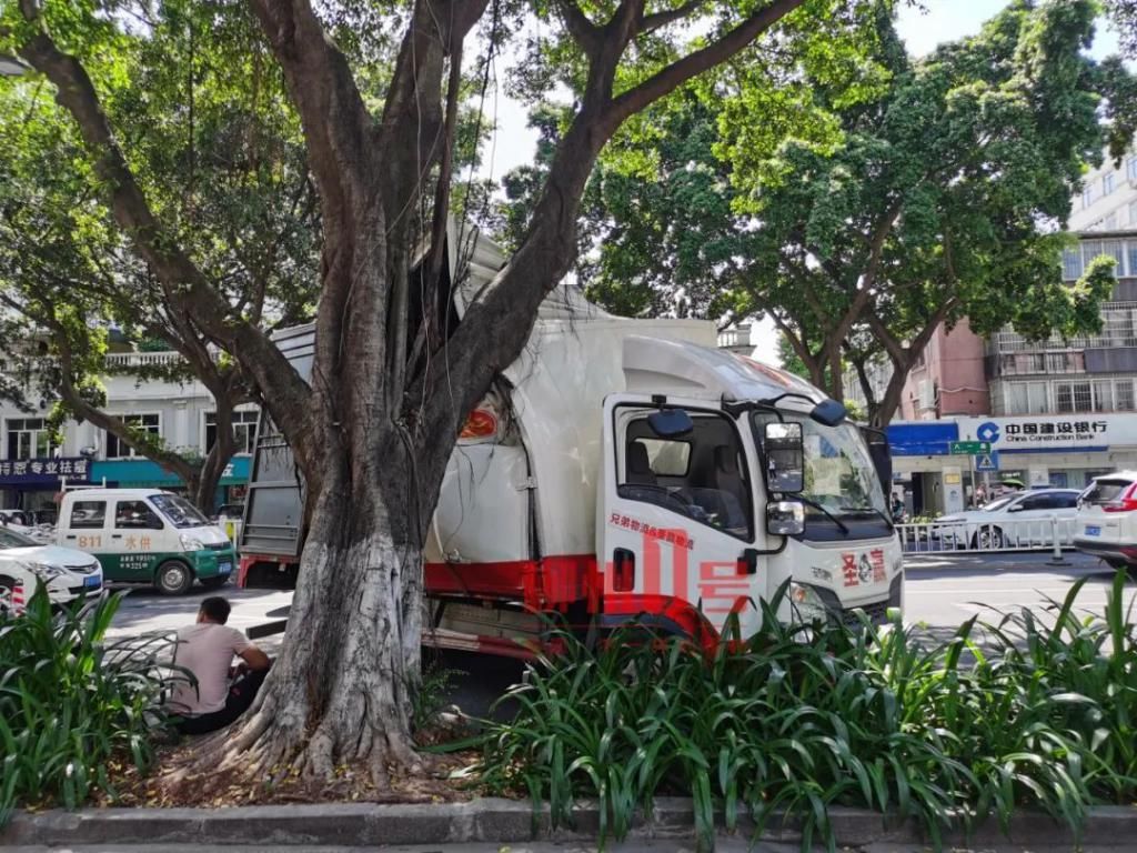  货车|八一路厢式货车撞对树后骑上花圃，车身：我裂开了！