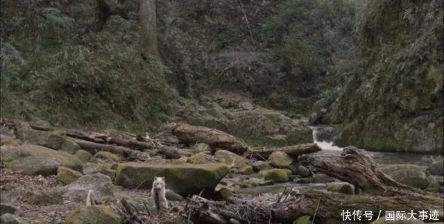 离家出走|被父母家暴后,13岁男孩离家出走到深山,一呆就是43年