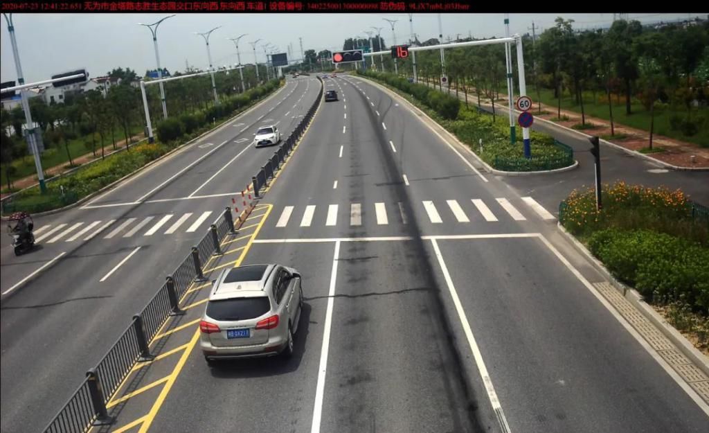 违法|遵守交通规则，做文明无为市民——交通违法曝光（40）