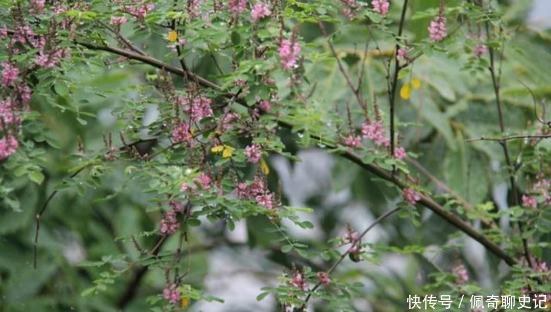  充满|王安石很经典的两首六言绝句，写得很是伤感，每一首都充满了忧愁