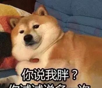  减肥手术|想减肥？养只狗吧！这只狗狗帮主人一年瘦了260多斤