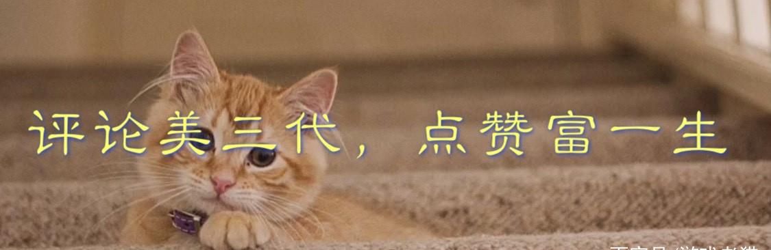  十足|DNF手游：除了副本以外，PK场成为玩家们的第二个乐园，亮点十足