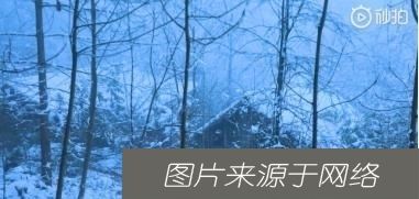  地址|追求美食梦想，不少人看出李子柒的地址，原来是住在四川平武