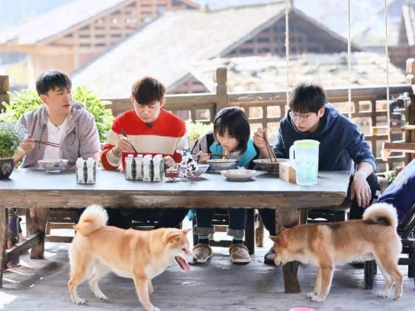  邀请|向往4：即将收官，网上却爆料是最后一季，三个方向证实了这件事