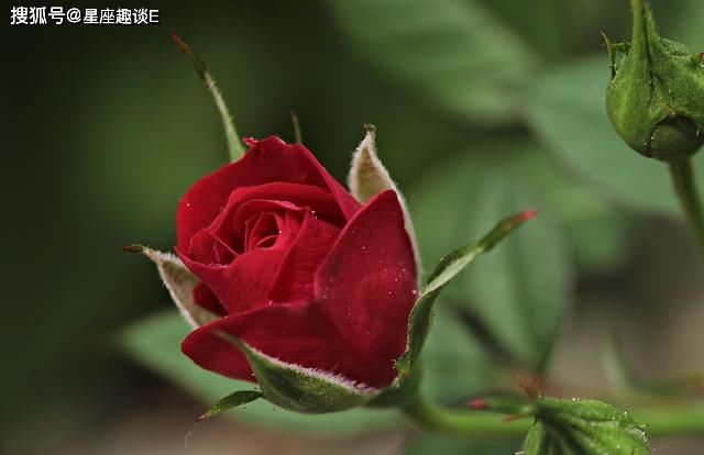  朋友|水瓶座对待周围的人足够真诚