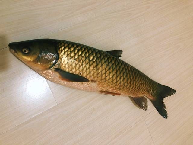 传统|客家传统美食鱼焖饭，原料讲究独特做法，鱼香入味米粒饱满松软！