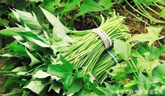 地瓜叶|红薯花样吃法，蒸煮炸炖都不如这样煎着吃，夹心流糖怎么都吃不够