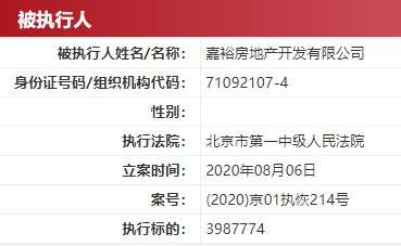 列为|嘉裕房地产被列为被执行人 执行标的近400万元