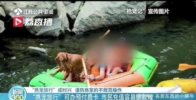 预付费|看着很美！“带着宠物去旅行”还可办预付费卡 充值容易退款难