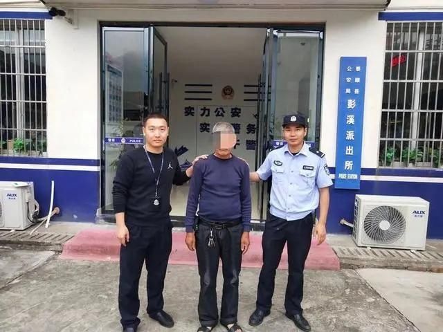  宝树|割树皮灌除草剂，一棵风水宝树“惨遭谋害”是谁狠心下毒手