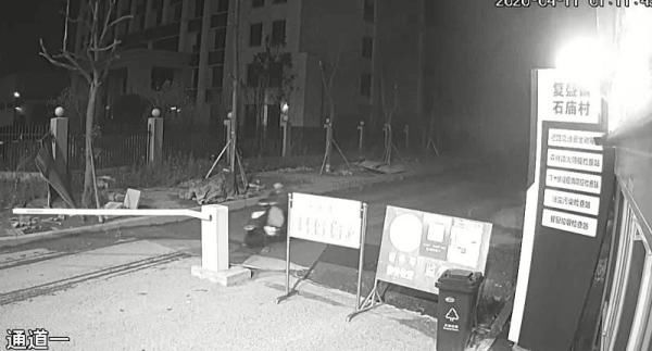 嫌疑人|民警奔波两月寻得偷鸡贼 挽回损失后老人喜极而泣