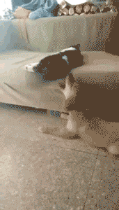 睡着|妹子,这可是学习的地方,躺在上面就睡着了,太不淑女了