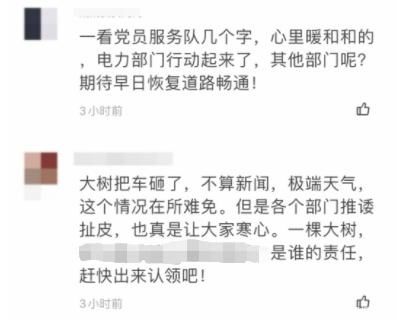  大树|狂风暴雨，大树倾倒砸车，谁来担责？