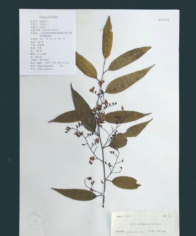 生长|云之南，一个生生不息、万物生长的地方