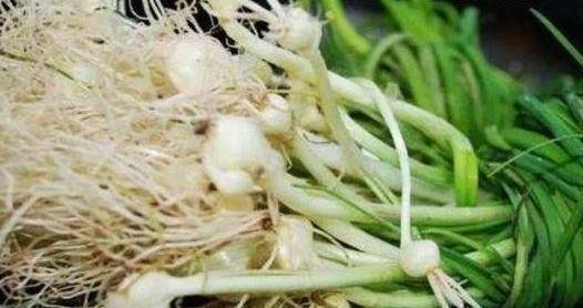  增强|人到中年想长寿，推荐常吃以下食物，补充营养，增强身体免疫力