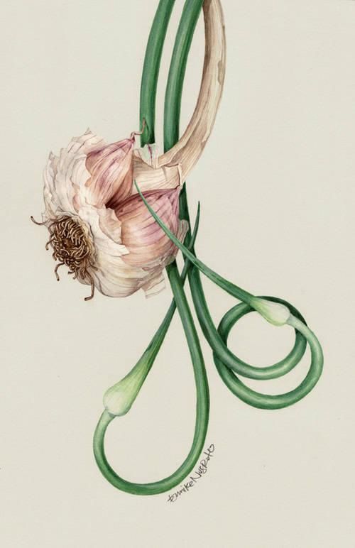  全职|一位全职妈妈喜欢疯狂画画，教你画水彩花卉