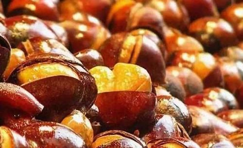 不易|原来板栗壳难剥是用错了水!学会这一招,板栗去皮干净,不易伤手