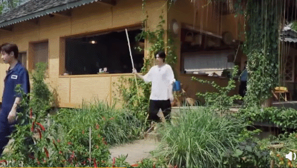  丹丹|四季过去了，它还是国内最治愈的慢综艺