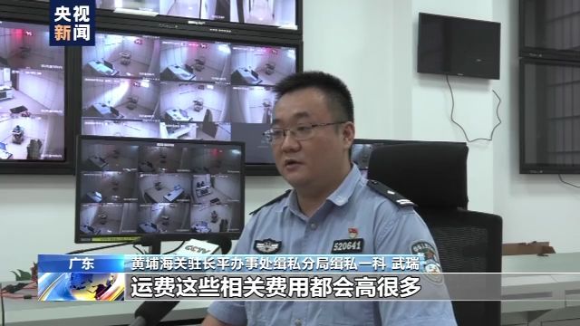  黄埔海关驻|广东海关破获5亿元牛皮走私大案 17名主犯落网