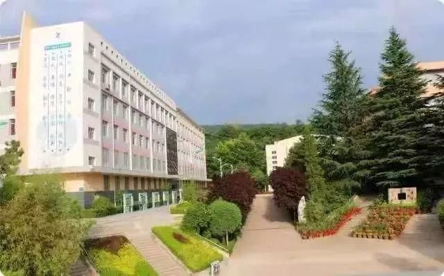 回来|宝鸡！我回来了！