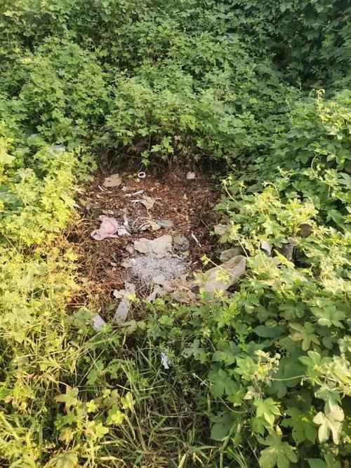  三原老张微信公众平|2020年8月29日，三原市民有话说