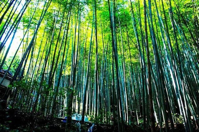 天台山|四川成都秘藏的千年古城，又仙又美又凉快，一眼便会爱上