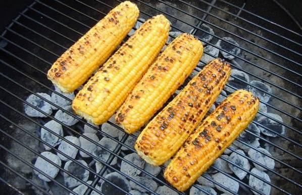  玉米地|东明老家玉米地里看到的一幕，令人......