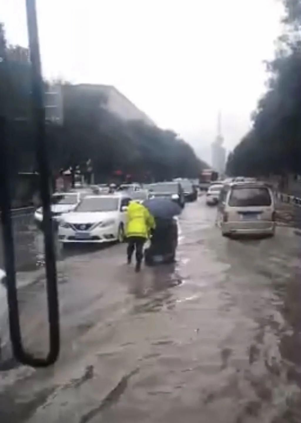 身姿|暖心!你的身姿虽渺小,被“偷拍”后却很好看