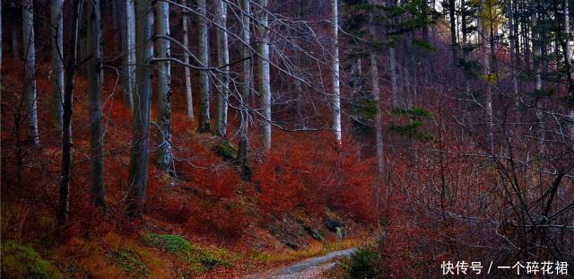 经济权|日本史政治纷争与武士(一)!