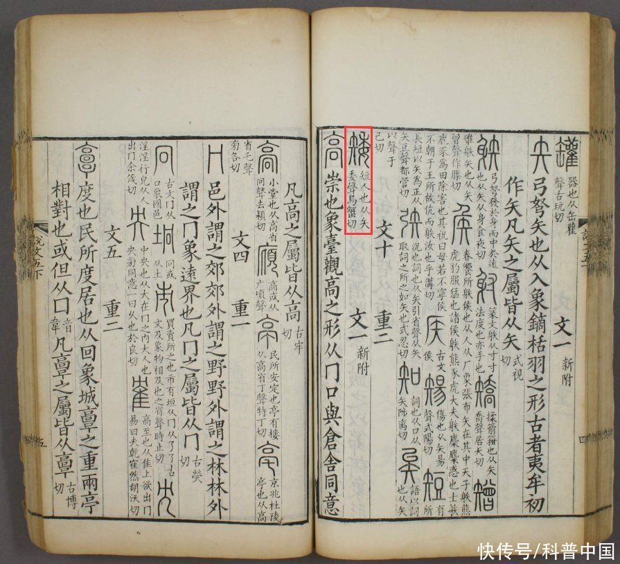 古人造字的智慧有哪些(啥？古人造字的时候，居然造“错”了这几个字？！)