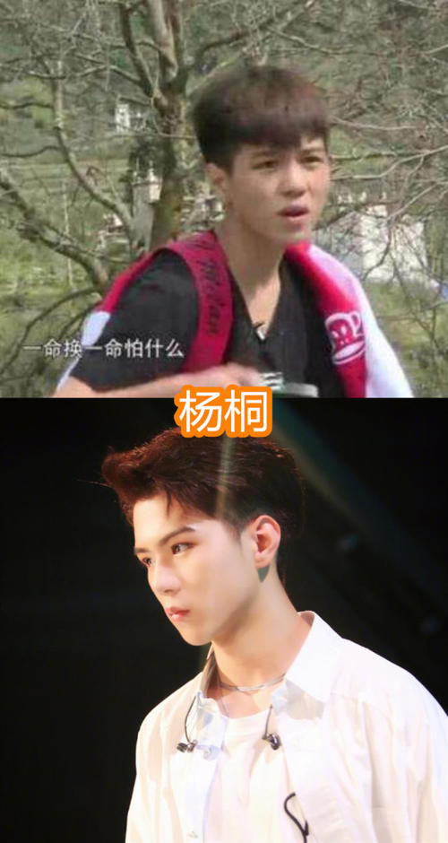  拍戏|变形计主人公都咋样了？巨婴成设计师，杨桐成团出道，最后的他拍戏不断！