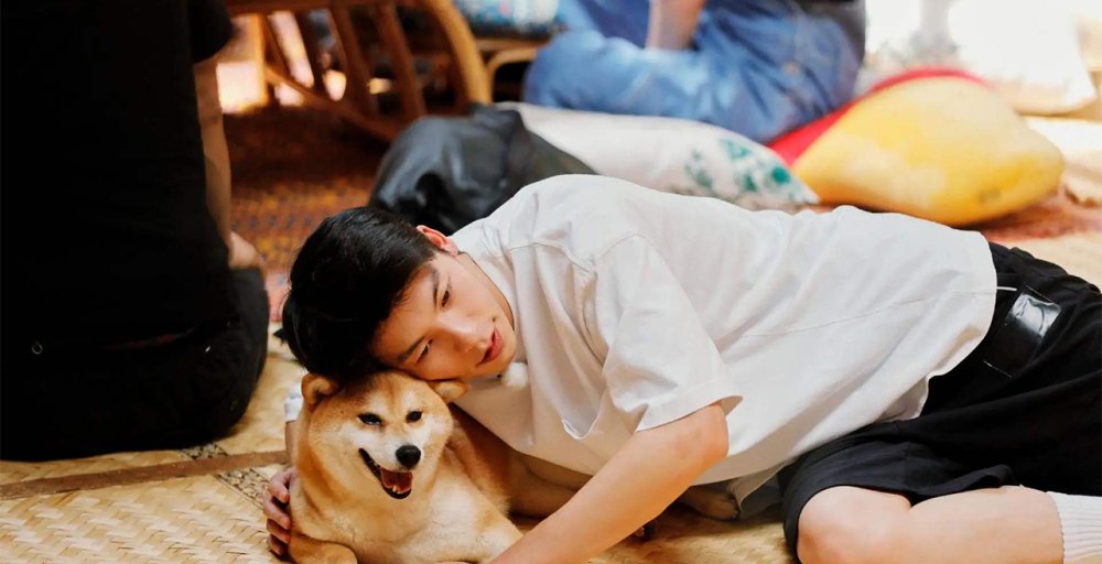  投资方|《向往》迎最没存在感嘉宾，何炅也不带他，投资方硬塞进来的？是谁？