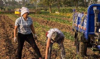 农村地区|农民夫妻之间聚少离多，为什么离婚率却很低？男人的回答很现实！