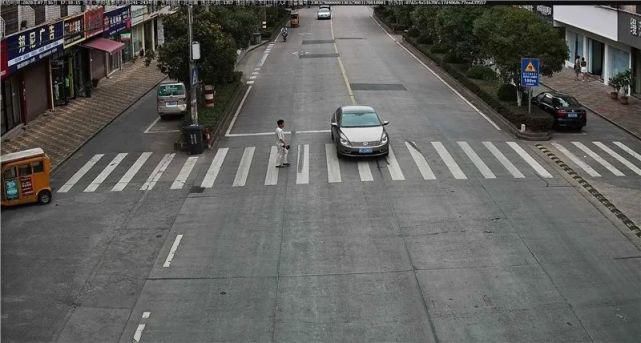 驾驶机动车违反道路|泰顺这些车主被曝光！