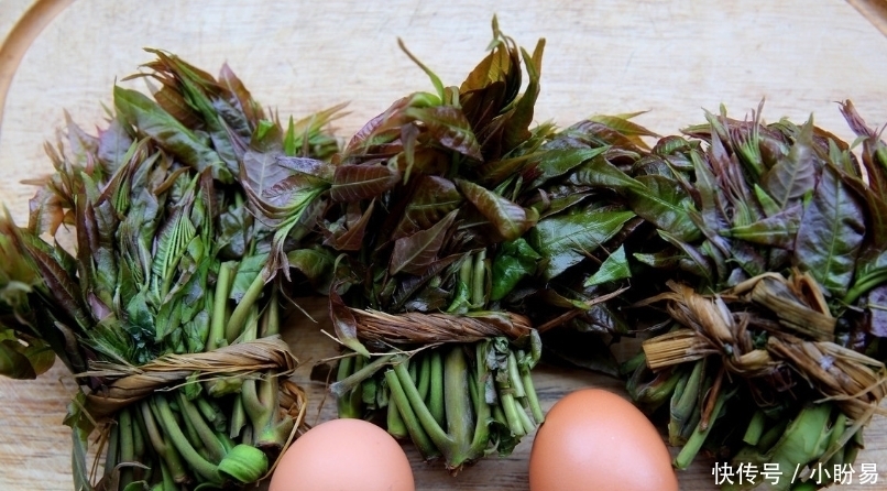 大厨|香椿焯水引争议,到底需不需要呢大厨来告诉你,可别再做错了