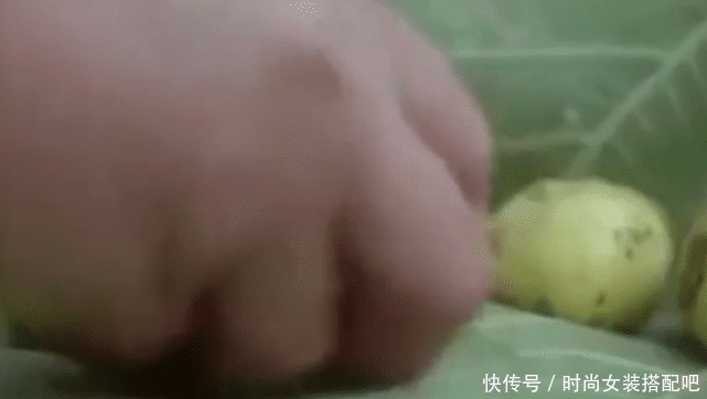 水果|看看最“娇气”的水果,摘下来就会腐烂,你们吃过没