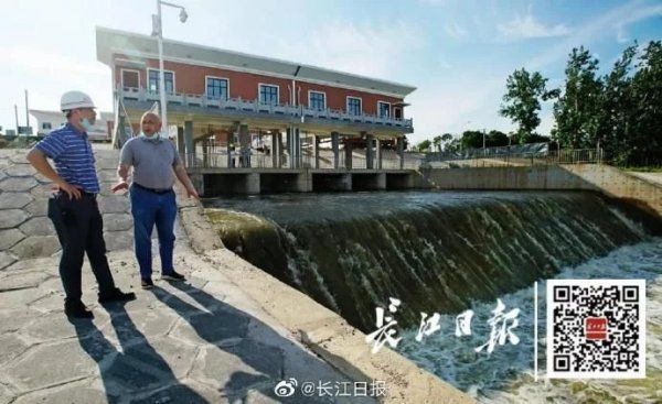 经受|武汉经受住八轮强降雨考验，它们起了关键作用