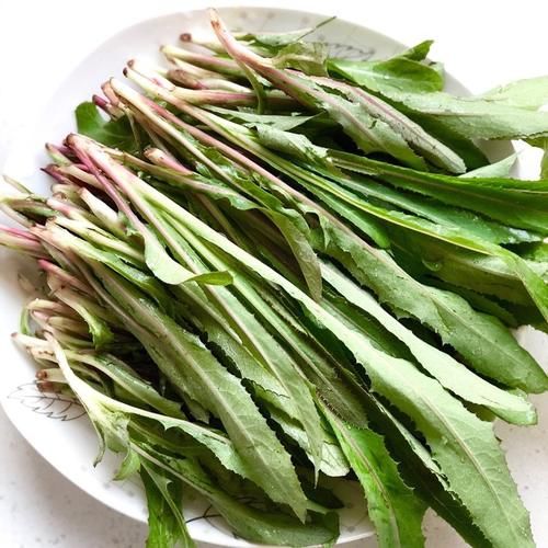  脾胃|它还有一茬，不吃就成“杂草”了，是菜又是药，补钙质，家人吃脾胃好